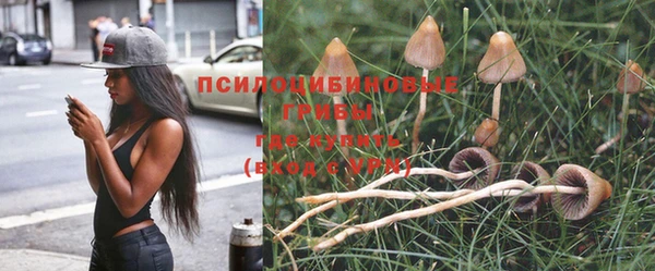 COCAINE Баксан