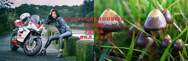дурь Балахна