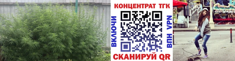 ТГК концентрат  Ясногорск 