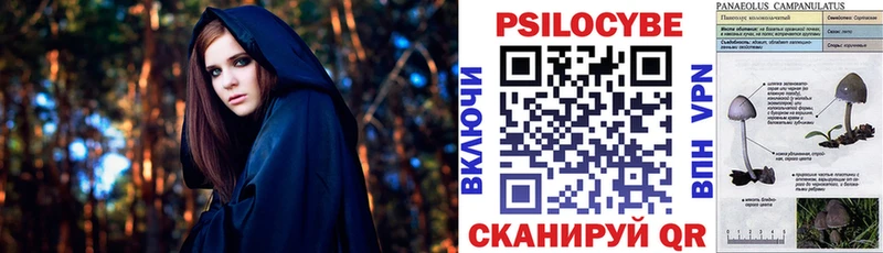 Галлюциногенные грибы ЛСД где найти наркотики Ясногорск