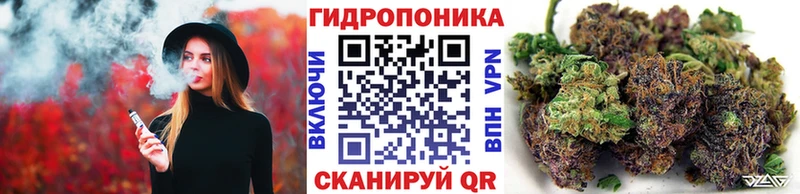 дарнет шоп  Ясногорск  Канабис индика 